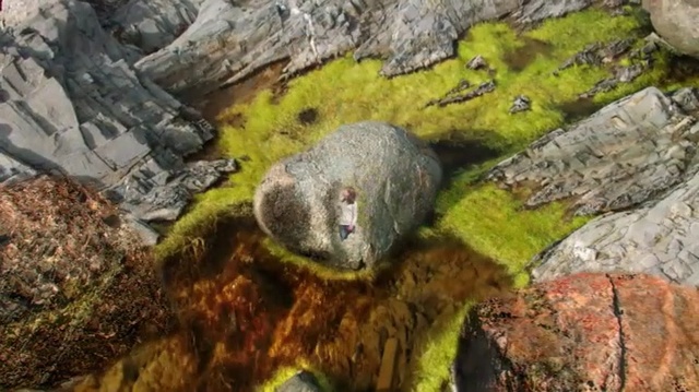 Video Reference: Rock, Organism, Geology, Person