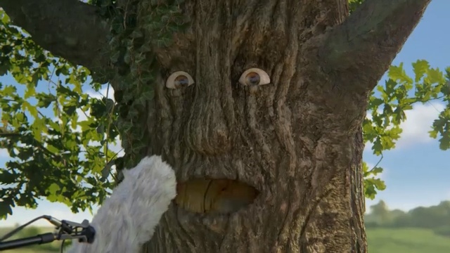 Video Reference: Tree, Trunk, Woody plant, Plant, Adaptation, Wildlife, Person