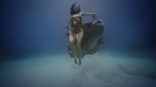 Video Reference: underwater, atmosphere, sky, organism, computer wallpaper, darkness