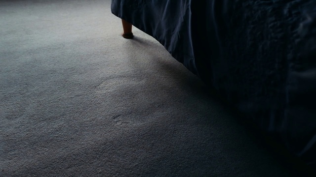 Video Reference: Floor, Black, Flooring, Hardwood, Wood, Textile, Laminate flooring, Tile