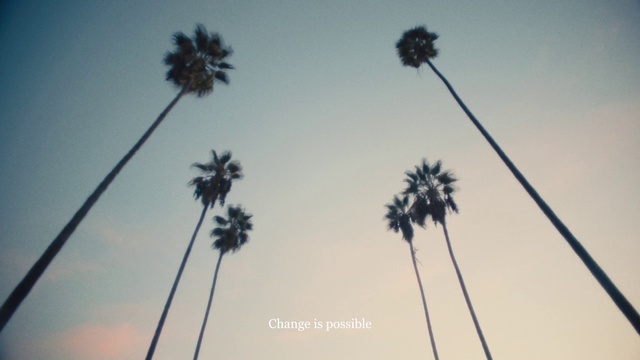 Video Reference: Sky, Palm tree, Tree, Arecales, Plant, Desert Palm, Woody plant, Line, Plant stem, Borassus flabellifer