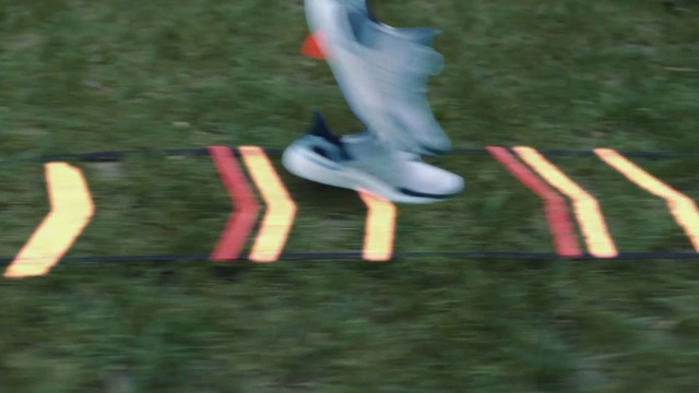 Video Reference: Grass, Carmine, Wing, Shoe