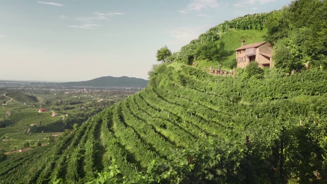 Video Reference: Hill station, Highland, Vegetation, Plantation, Natural landscape, Hill, Landscape, Rural area, Terrace, Field