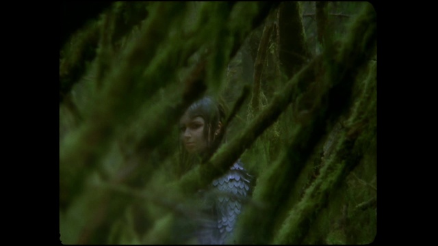 Video Reference: Nature, Green, Natural environment, Vegetation, Organism, Forest, Jungle, Wildlife, Leaf, Rainforest