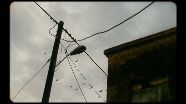 Video Reference: Wire, Overhead power line, Sky, Electricity, Electrical supply, Line, Tree, Technology, Cable, Electrical wiring