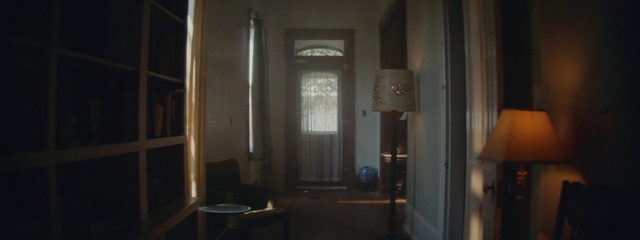 Video Reference: Room, Property, Lighting, Interior design, House, Building, Architecture, Window, Door, Ceiling