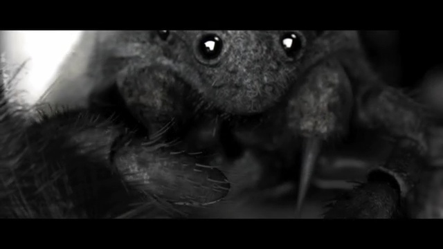 Video Reference: black, black and white, monochrome photography, mammal, photography, close up, monochrome, organism, snout, mouth