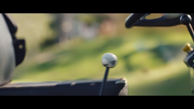 Video Reference: Photography, Macro photography, Grass, Plant, Windshield