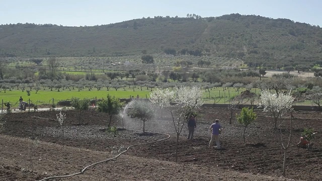 Video Reference: field, soil, rural area, tree, hill, village, sky, geological phenomenon, hill station, agriculture, Person