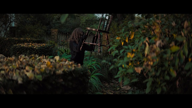 Video Reference: nature, leaf, tree, woodland, grass, forest, darkness, autumn, plant, sunlight