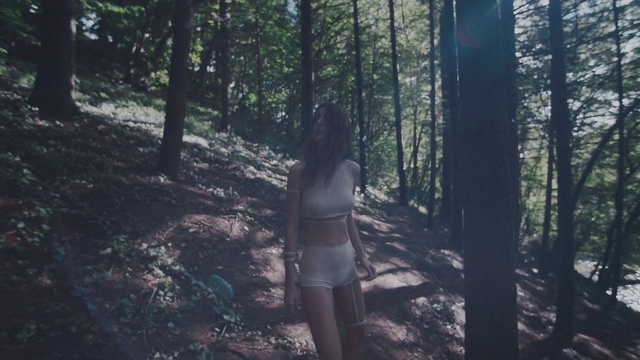 Video Reference: Forest, Woodland, Nature, Natural environment, Tree, Old-growth forest, Wilderness, Jungle, Biome, Sunlight