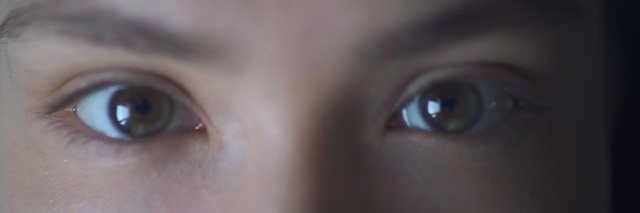 Video Reference: eyebrow, face, eye, nose, close up, eyelash, forehead, macro photography, iris, organ