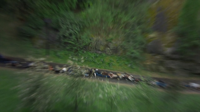 Video Reference: water, ecosystem, vegetation, river, grass, leaf, wildlife, grass family, bank, water resources