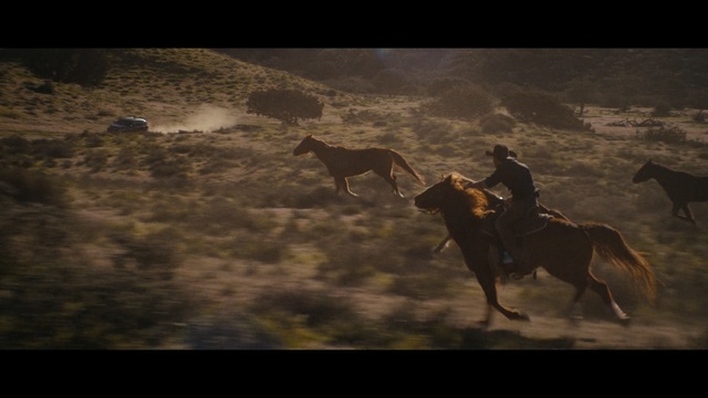 Video Reference: ecosystem, horse, horse like mammal, sky, mustang horse, screenshot, darkness, atmosphere, ecoregion, herd
