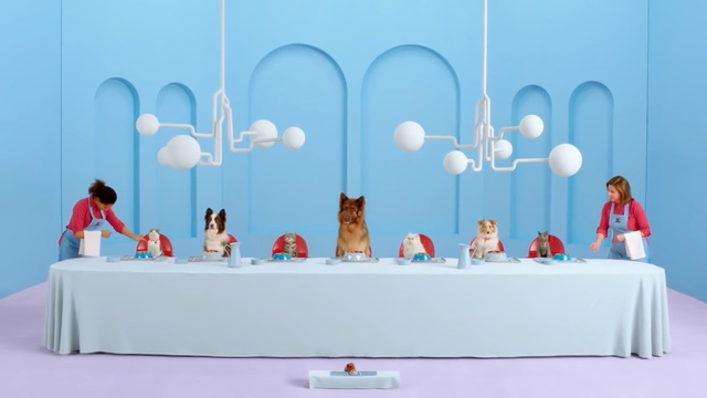 Video Reference: Table, Design, Event, Furniture, Interior design, Party, Person