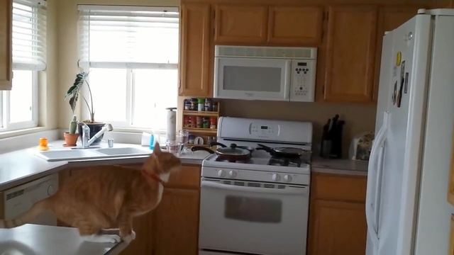 Video Reference: Countertop, Room, Cabinetry, Kitchen, Property, Furniture, Home, Floor, House, Major appliance, Person