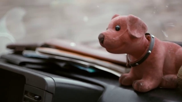 Video Reference: Dog, Canidae, Dog breed, Snout, Puppy, Carnivore, Fawn, Non-Sporting Group, Sporting Group, Companion dog