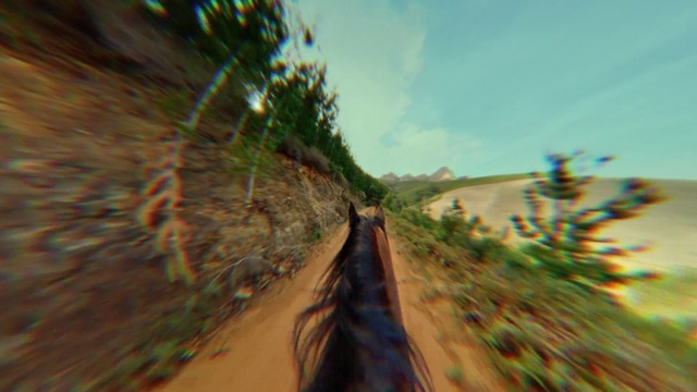 Video Reference: Road, Tree, Infrastructure, Dirt road, Thoroughfare, Grass, Plant, Landscape