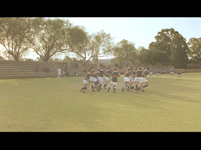 Video Reference: mammal, vertebrate, pasture, grass, player, grassland, field, plain, sports, lawn, Person