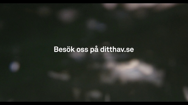 Video Reference: Nature, Black, Text, Sky, Font, Darkness, Macro photography, Water, Monochrome photography, Atmosphere