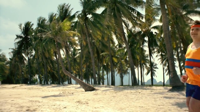 Video Reference: beach, tree, vacation, palm tree, arecales, plant, tourism, caribbean, leisure, sky, Person