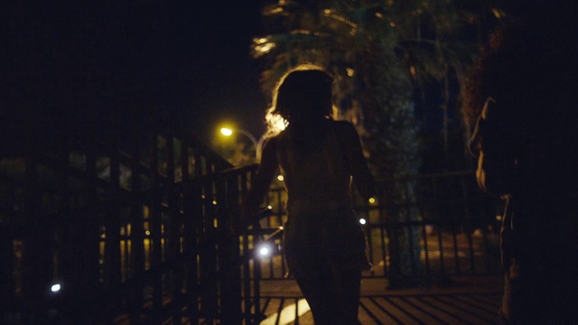 Video Reference: Night, Darkness, Light, Sky, Backlighting, Lighting, Tree, Urban area, Photography, Midnight