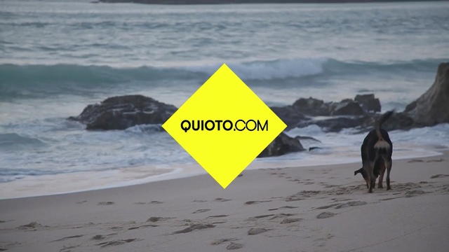 Video Reference: beach, shore, coastal and oceanic landforms, ocean, coast, sea, wave, sand, vacation, Person