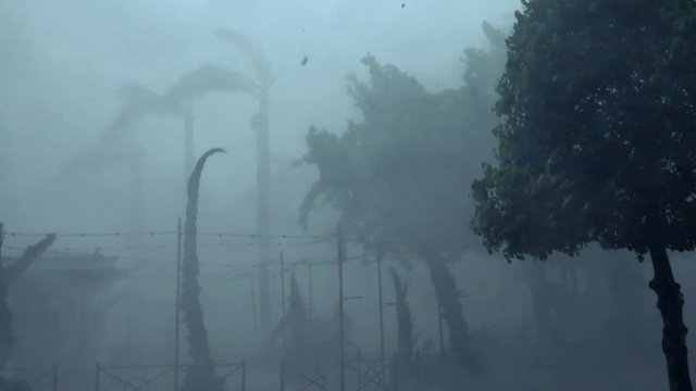 Video Reference: Mist, Atmospheric phenomenon, Fog, Water, Haze, Atmosphere