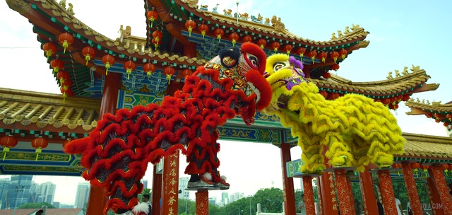 Video Reference: Chinese new year, Chinese architecture, Architecture, Dragon, Temple, Shrine, Temple, Tradition, Leisure, Event
