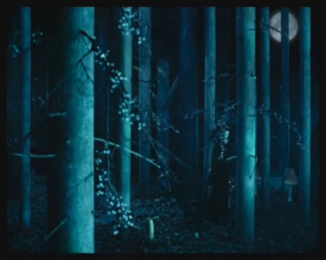 Video Reference: Branch, Wood, Terrestrial plant, Natural landscape, Aqua, Font, Tree, Plant, Tints and shades, Electric blue