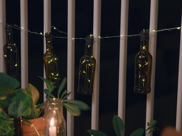 Video Reference: Bottle, Wine bottle, Glass bottle, Houseplant, Plant, Glass, Plant stem