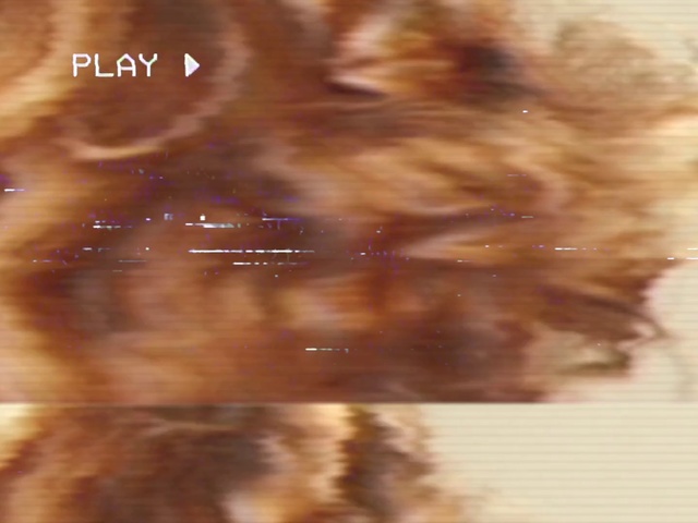 Video Reference: Caramel color, Fur, Snout, Liver, Fawn, Ear, Cat, Table, Water, Bird, Bear, Blurry, Screenshot
