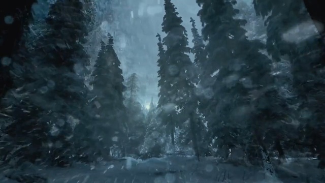 Video Reference: Nature, Water, Atmosphere, Forest, Atmospheric phenomenon, Darkness, Natural environment, Tree, Rain, Biome