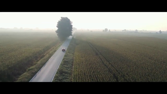 Video Reference: Atmospheric phenomenon, Mist, Haze, Morning, Fog, Field, Horizon, Atmosphere, Sky, Plain
