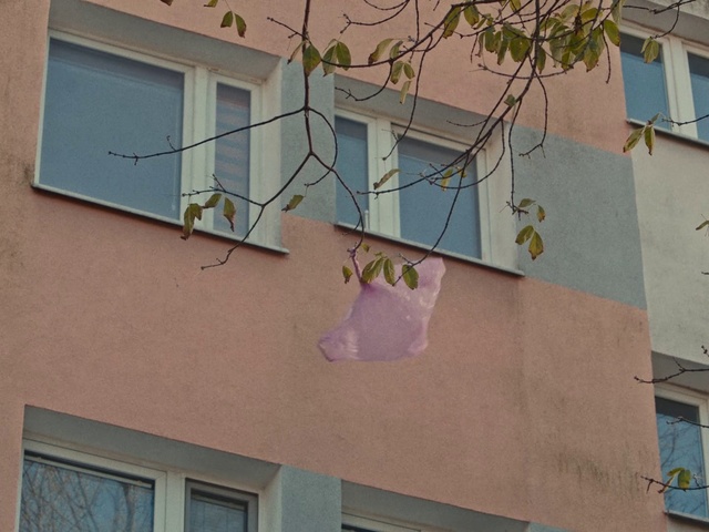 Video Reference: Wall, Facade, Pink, Architecture, Window, Tree, House, Balcony, Plant, Building