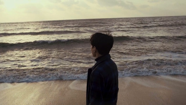 Video Reference: sea, body of water, ocean, shore, beach, wave, horizon, vacation, sky, coast, Person