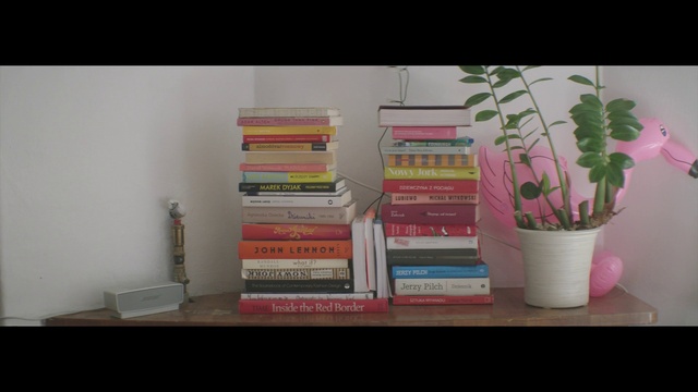Video Reference: Shelf, Shelving, Bookcase, Furniture, Book, Publication, Houseplant, Room, Plant, Table