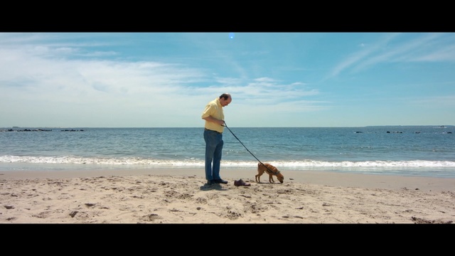 Video Reference: beach, sea, body of water, sky, dog, shore, ocean, vacation, coast, dog like mammal, Person