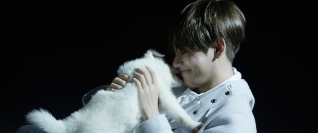 Video Reference: mammal, vertebrate, dog like mammal, dog, performance, human, fur, carnivoran, Person