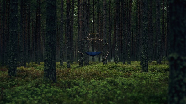 Video Reference: Forest, Nature, Spruce-fir forest, Natural environment, Green, Tree, Woodland, Tropical and subtropical coniferous forests, Biome, Old-growth forest