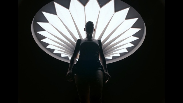 Video Reference: White, Black, Light, Black-and-white, Wing, Design, Darkness, Monochrome photography, Monochrome, Fictional character