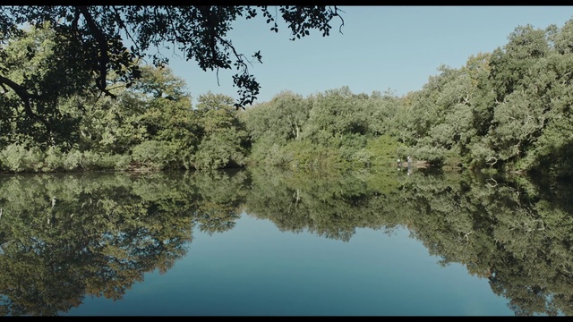 Video Reference: Reflection, Nature, Natural landscape, Water, Tree, Water resources, Vegetation, Natural environment, Bank, River
