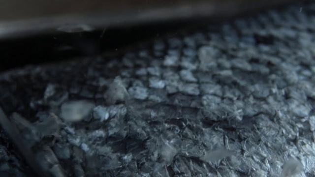 Video Reference: Black, Water, Soil, Close-up, Floor, Rock, Photography, Monochrome photography, Flooring, Geological phenomenon, Person, Cake, Sitting, Food, Piece, Small, Table, Close, White, Oven, Wooden, Pizza, Covered, Counter, Laying, Plate, Pan, Bird, Cooking, Birthday, Toppings, Kitchen, Fire