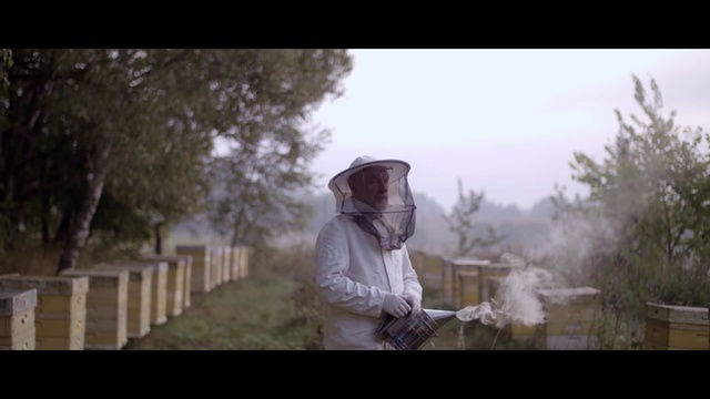 Video Reference: Photograph, Atmospheric phenomenon, Photography, Morning, Tree, Atmosphere, Human, Sunlight, Adaptation, Landscape