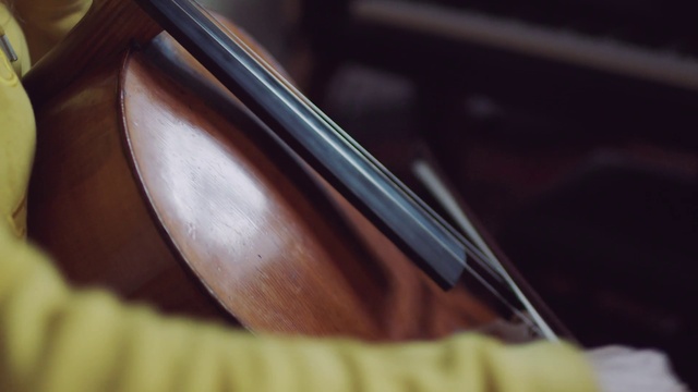 Video Reference: Bowed string instrument, Violin, Violin family, String instrument, Fiddle