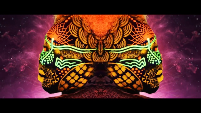 Video Reference: Symmetry, Organism, Psychedelic art, Mask, Art, Fractal art, Illustration