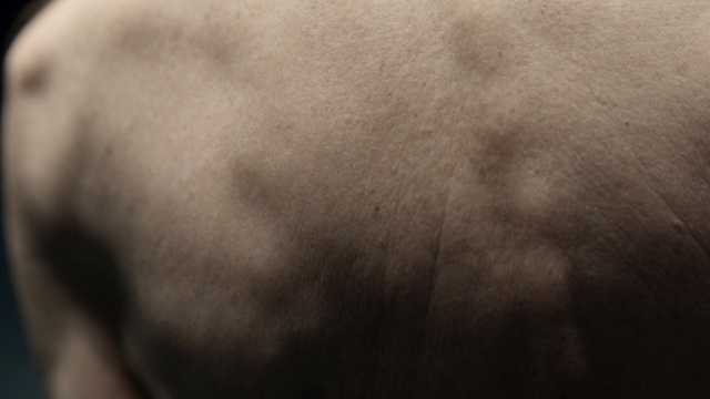 Video Reference: skin, nose, chin, forehead, close up, snout, neck, facial hair, mouth, ear