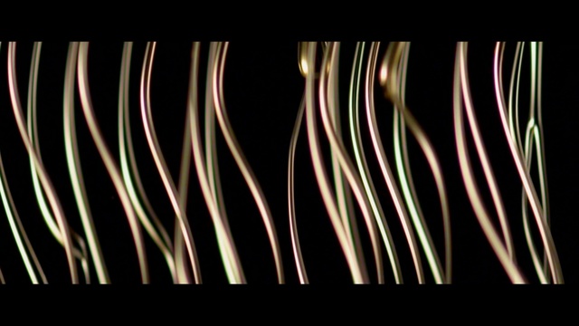 Video Reference: light, close up, line, organism, plant stem, font, symmetry, computer wallpaper, pattern, darkness