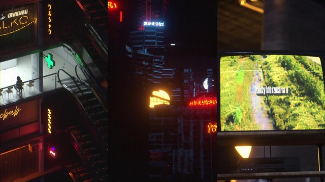 Video Reference: Light, Lighting, Night, Metropolitan area, City, Technology, Architecture, Games, Metropolis, Plant