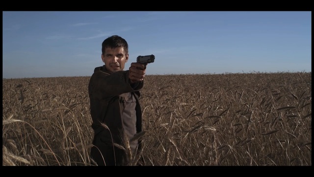 Video Reference: Photograph, Crop, Field, Grass, Agriculture, Photography, Prairie, Adaptation, Grassland, Plant, Person